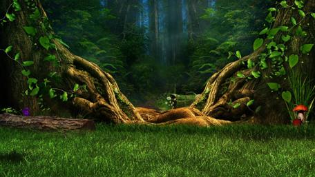 Enchanted Forest Gateway wallpaper