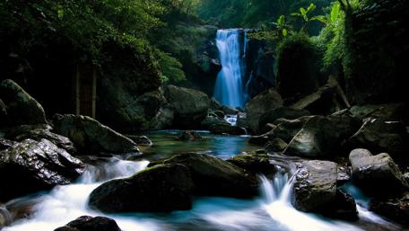 Serene Cascades in a Lush Forest wallpaper