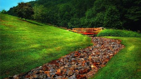 Serenity in Nature's Embrace wallpaper