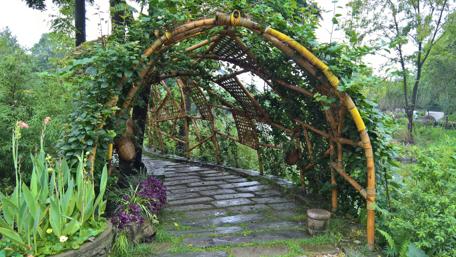 Serene Countryside Pathway Through Nature's Archway wallpaper