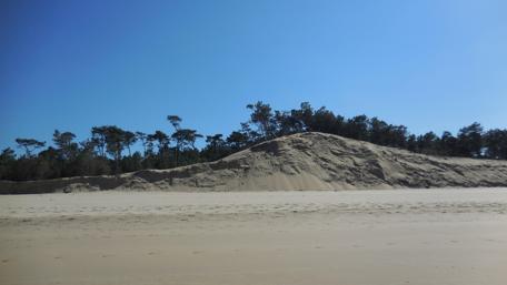 Serene Beach Landscape Under Clear Blue Skies wallpaper