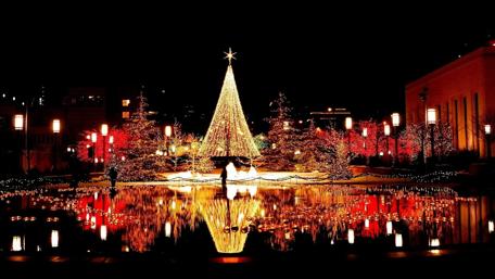 Festive Wonderland Reflections in a Park Setting wallpaper