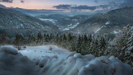 Winter Wonderland Forest Landscape wallpaper