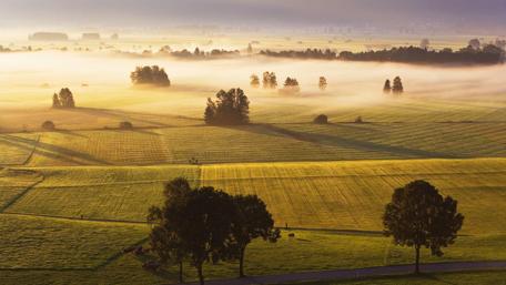 Serene Misty Morning Over Vibrant Fields wallpaper
