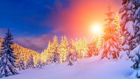 Winter Wonderland Sunshine wallpaper