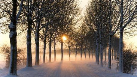 Winter Sunset on a Snowy Road wallpaper