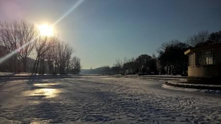 Serene Frozen Lake Under Bright Sunshine wallpaper