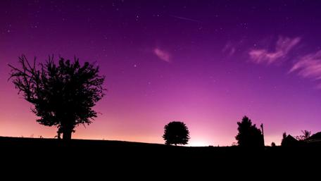 Starry Night Over Tranquil Horizon wallpaper