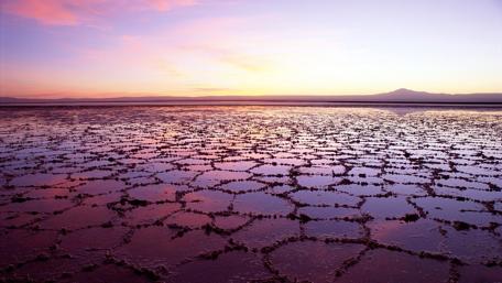 Tranquil Marsh at Dusk wallpaper