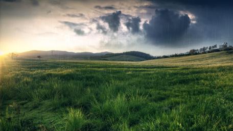 Serene Rainy Day Landscape wallpaper