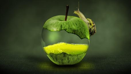 Fresh Perspectives on Nature's Beauty wallpaper