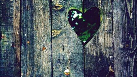 Rustic Love Heart Carving on Wooden Backdrop wallpaper