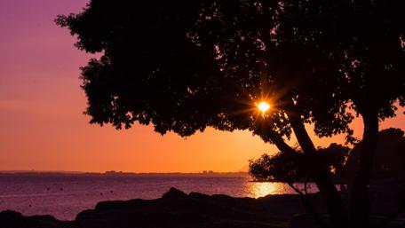 Sunset Serenity by the Beach wallpaper