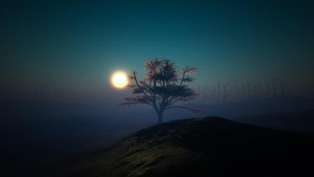 Mystical Moonlit Silhouette wallpaper