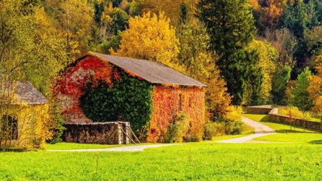 Autumn Serenity at a Charming Cottage wallpaper