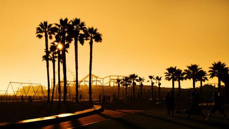 Golden California Sunset Over Palm Trees wallpaper