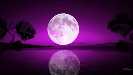 Moonlit Dreamscape wallpaper
