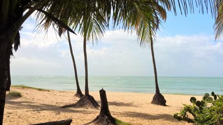 Serene Tropical Beach Escape wallpaper