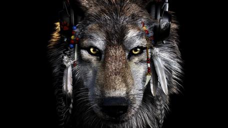 Mysterious Wolf with Headphones wallpaper