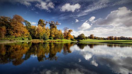 Serene Lakeside Bliss wallpaper