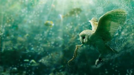 Underwater Predator Owl Adventure wallpaper