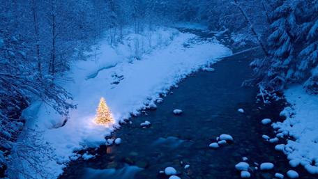 Magical Winter Wonderland Scene wallpaper