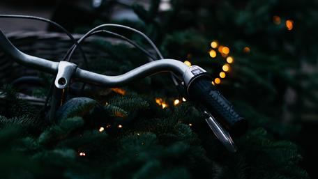 Rustic Bicycle Surrounded by Greenery and Lights wallpaper
