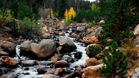 Tranquil Forest Stream Scene wallpaper
