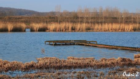 Serene Lake Pier Amidst Tranquil Reeds wallpaper