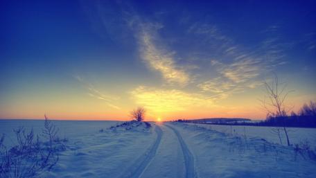 Winter Sunset Over a Snowy Field wallpaper
