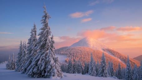 Winter's Serenity at Dusk wallpaper