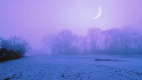 Purple Twilight Winter Wonderland wallpaper