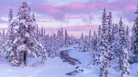 Winter Wonderland at Dusk wallpaper