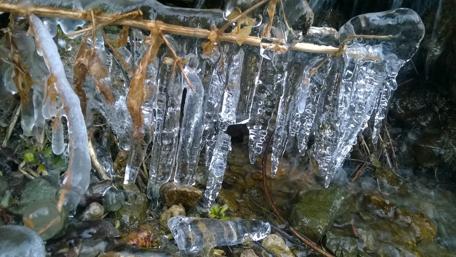 Frozen Beauty of Nature's Waterfall Ice Hanging from Twigs wallpaper