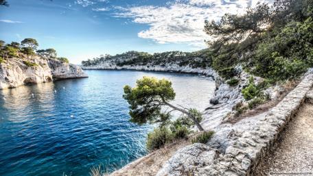 Serene Coastal Escape with Cliffs and Pine Trees wallpaper
