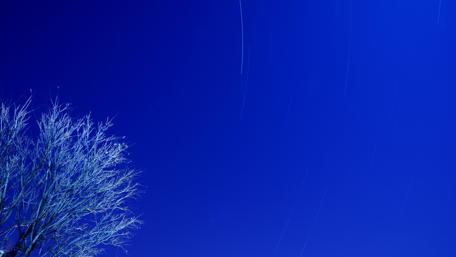 Night Sky Star Trails wallpaper