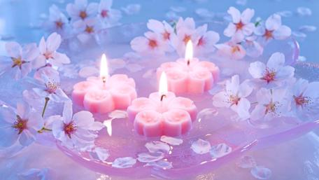 Blossom Harmony Floating Serenity wallpaper