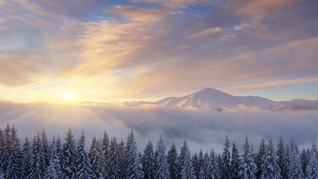 Winter Sunrise Over Snowy Mountains and Trees wallpaper