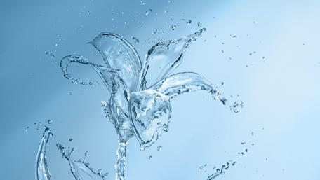 Crystal Bloom Essence wallpaper