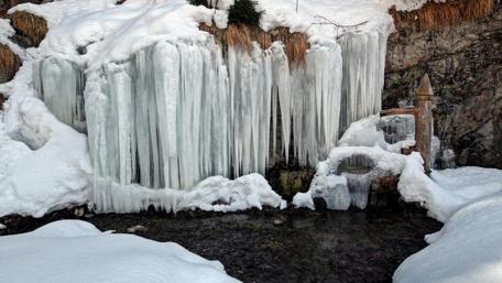 Frozen Beauty of Winter Landscape wallpaper