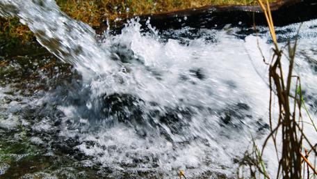 Refreshing Water Flow in Nature wallpaper