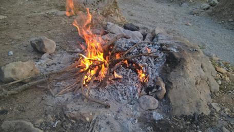 Cozy Campfire with Natural Surroundings wallpaper
