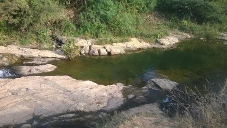 Tranquil River Scene Amidst Lush Greenery wallpaper
