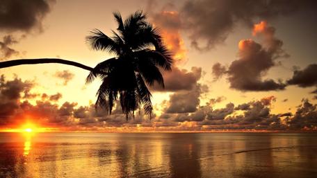 Sunset Serenity Over the Beach wallpaper