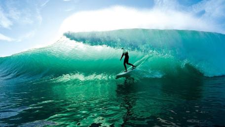 Riding the Majestic Blue Wave wallpaper