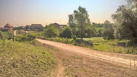 Serenity on a Country Road wallpaper