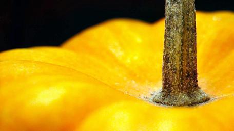 Vibrant Close-Up of a Pumpkin Interior wallpaper