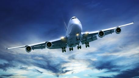 Majestic Flight at Dusk wallpaper