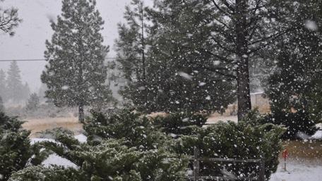 Silent Snowfall in Eagle Lake Winter Wonderland wallpaper