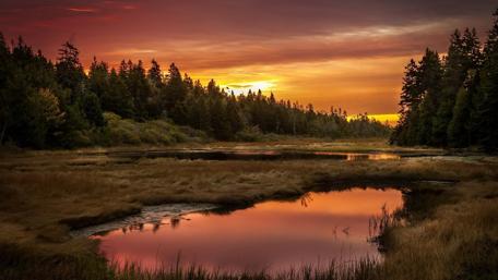 Sunset Gleam Over Tranquil Waters wallpaper